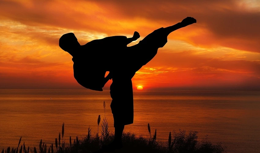 Karate Kick at Sunset